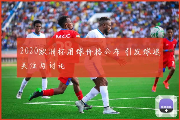 2020欧洲杯用球价格公布 引发球迷关注与讨论