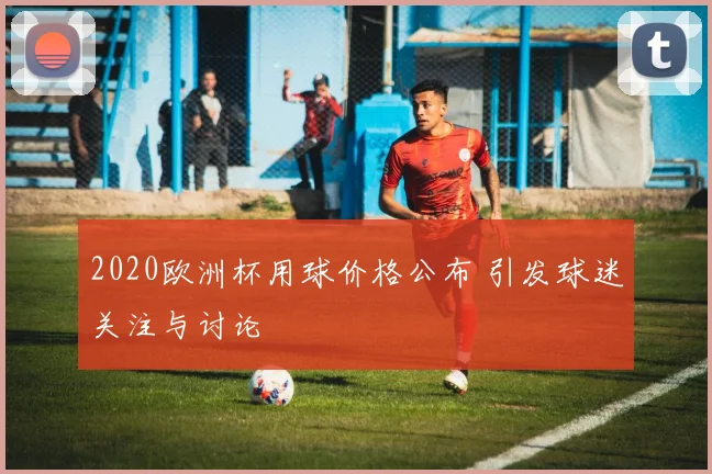 2020欧洲杯用球价格公布 引发球迷关注与讨论