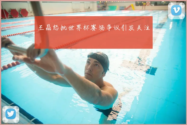 王晶怒批世界杯赛场争议引发关注