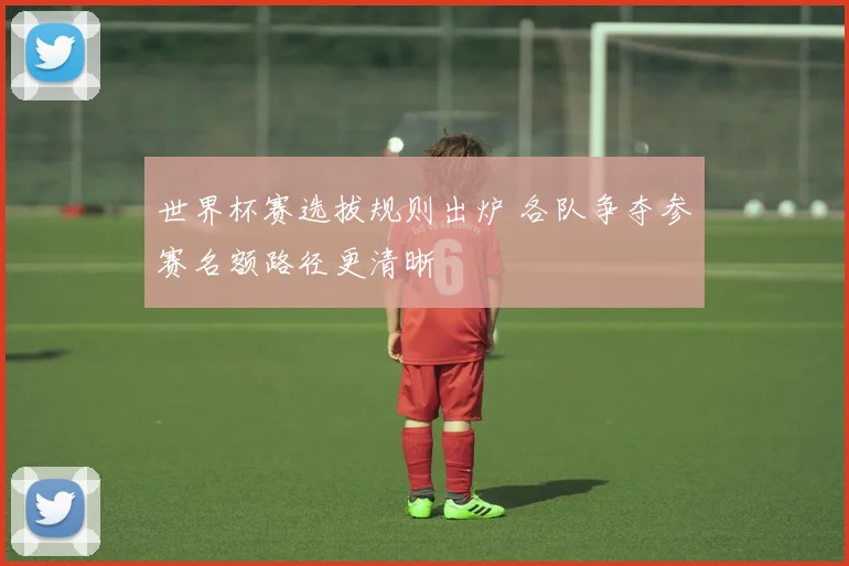 世界杯赛选拔规则出炉 各队争夺参赛名额路径更清晰